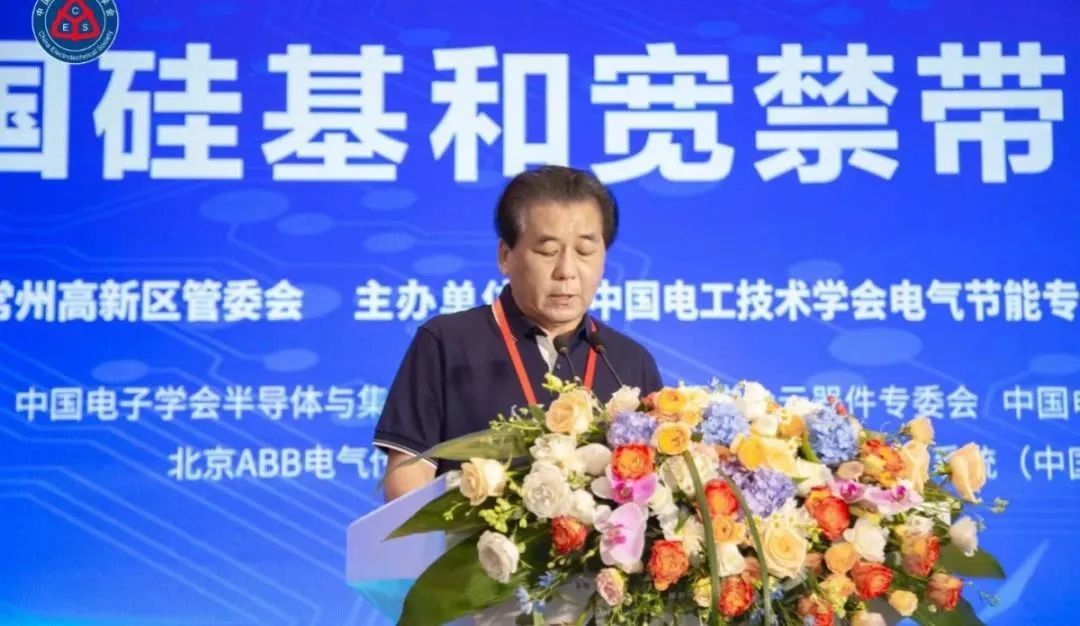 中國電工技術(shù)學會電氣節(jié)能專業(yè)委員會 秘書長 孫長富主持論壇