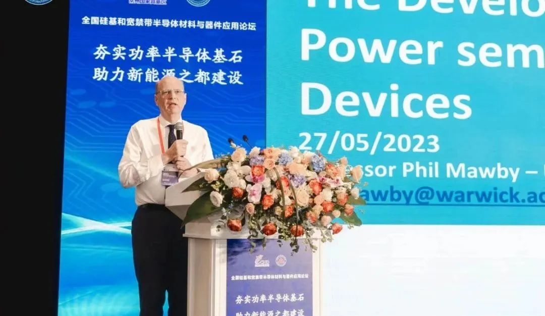 英國華威大學 工程學院電力電子系主任 菲利普教授