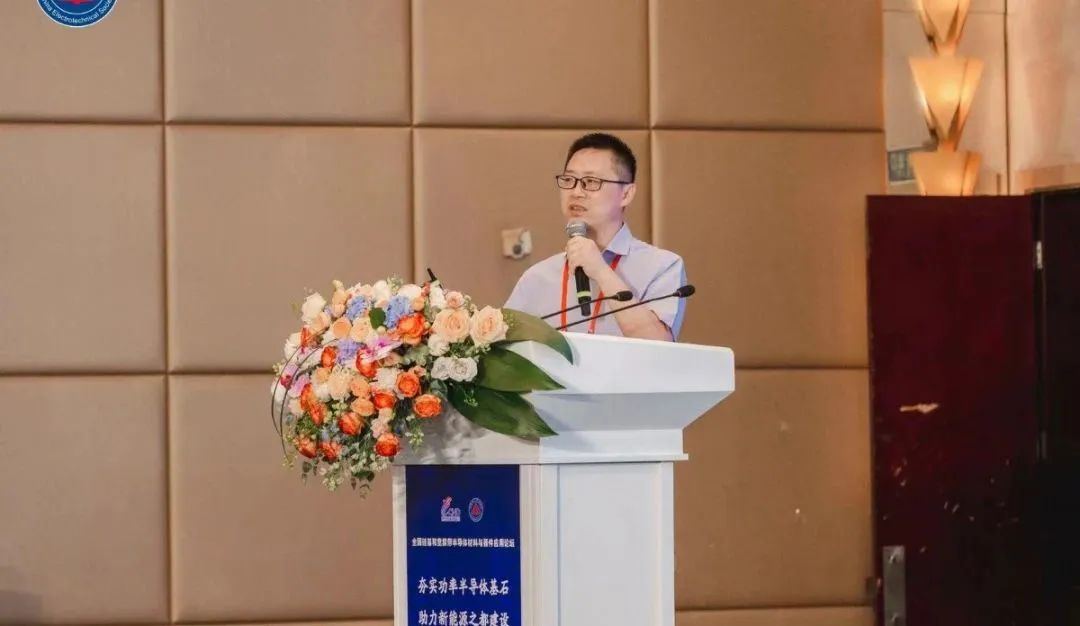 安徽工程大學 集成電路學院副院長 教授 中國電工技術(shù)學會電氣節(jié)能專委會副理事長 林信南博士