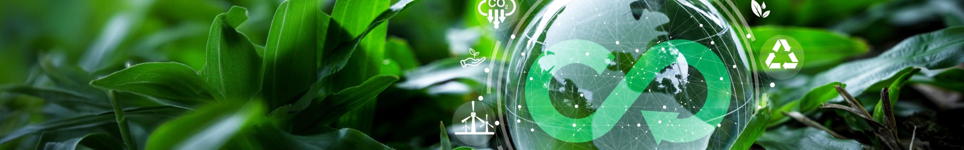 質(zhì)量和可靠性